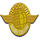 Apoorva Degree College logo